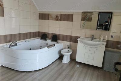 Casa P+E+ M, canalizare, Cartier Editurii, Lunca Cetatuii - 3