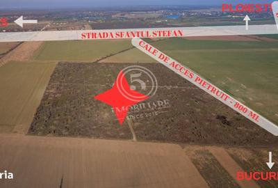 Spațiu comercial, în Săftica - 4