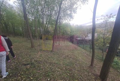 Casa batraneasca cu teren (4.910 mp) la Alunis - 14