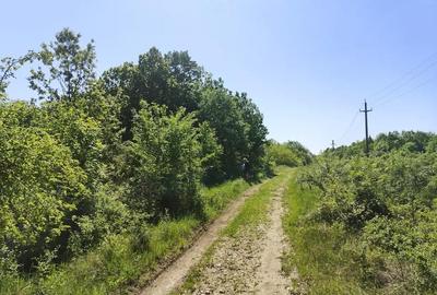 Teren de 4000 mp, în Mădulari - 2