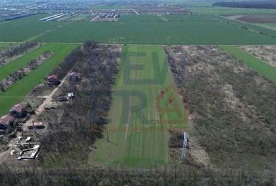 Teren de vanzare, Sabareni - 6