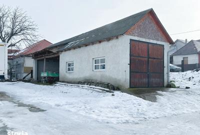 Spațiu comercial, de 500 mp, în Adămuș - 5