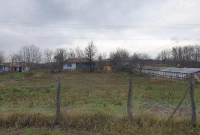 Casă cu 2 camere în Podeni - 10