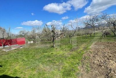 Casa cu 3 camere, 90 mp, 2 anexe gospodaresti si teren de 3000 mp, zona Crucisor - 12