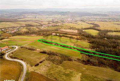 Spațiu comercial, în Ceica - 3