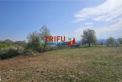 Teren de 1020 mp, în Cetate - 1