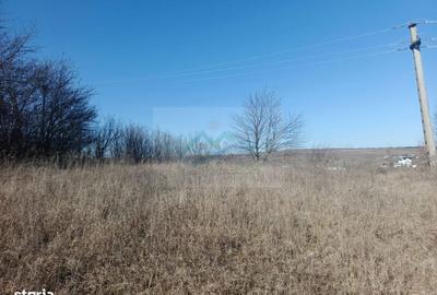 Spațiu comercial, în Oglinzi - 5