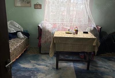 Vand casa cu teren de 18 arii in Sanpetru Almasului - 5