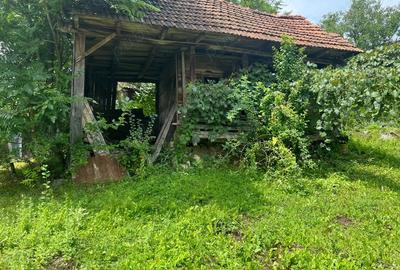 Casa de caramida la ?ara - 6