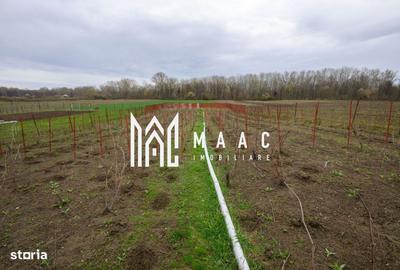 Casă cu 3 camere în Drăganu - 10