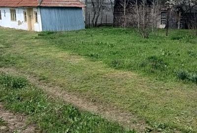 Teren de 4629 mp, în Negreni - 1
