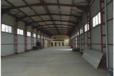 Zona Est - Pantelimon - Selgros - 2