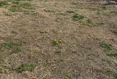 Casă cu Teren 1000 Mp în Central - 6