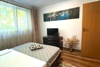 Apartament cu 2 camere semidecomandat, mobilat în P-ța Muncii - 5