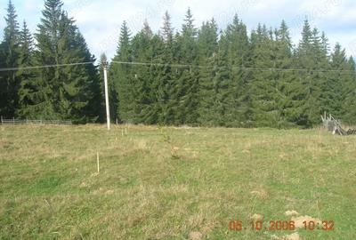 Teren de 5000 mp, în Central - 2