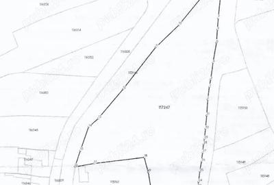 Teren de 7700 mp, în Voila - 1