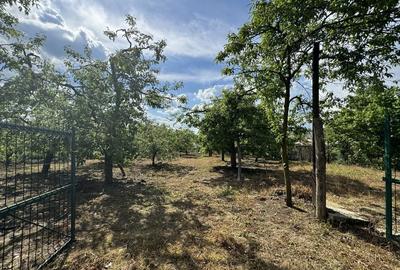 Casă cu 2 camere în Suduleni - 3