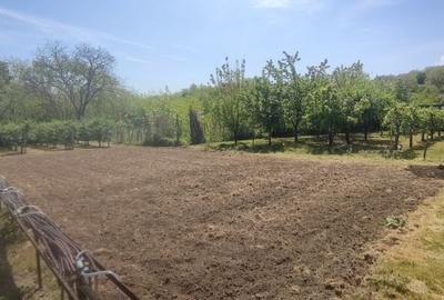 Casă cu 4 camere în Scurta - 17