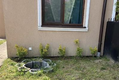 Casă cu 1 camere cu Teren 350 Mp în Dumbrăvița - 2