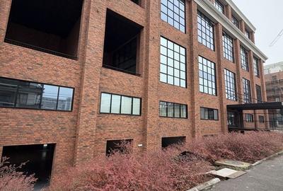 Apartament LOFT, design industrial si lux modern, 2 GARAJE, BIROURI - 16