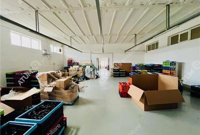 Spatiu industrial cu 2 hale si anexe teren 2543 in Hamba judetul Sibiu - 4