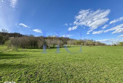 Spațiu comercial, în Bradu - 5