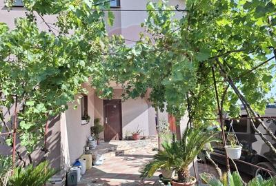 Casa / Vila cu 6 camere de vanzare in zona Calea Severinului - 19