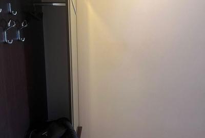 Apartament cu 2 camere semidecomandat în Vicovu de Sus - 7