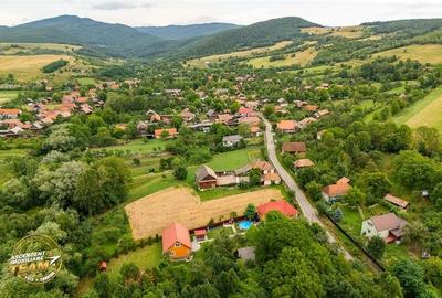 Ansamblu cu 2 case,piscina,1.700 mp domeniu verde,Lutoasa,Mereni,Covasna - 3