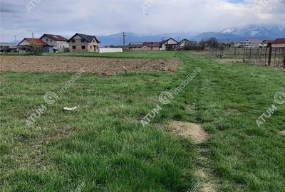 Eren intravilan 1400 mp de pe Valea Avrigului - 7