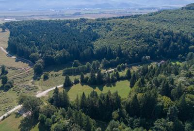 Investitie premium in turism-teren 6800mp langa lacuri Vulcan Brasov - 13