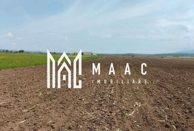 Spațiu comercial, în Bradu