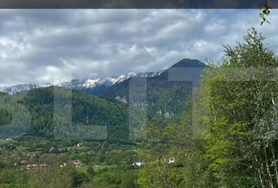 Teren intravilan zona deosebita in Zarnesti Teren intravilan zona deosebita in Zarnesti - 2