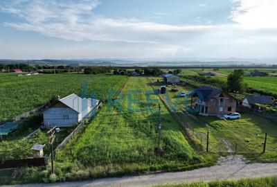 Teren intravilan de vanzare 4.300mp Buhu?i - 3