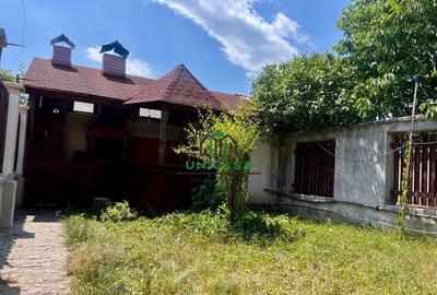 Casa Vladesti/4 camere - 6