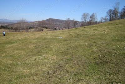 Teren de 5000 mp, în Central - 5