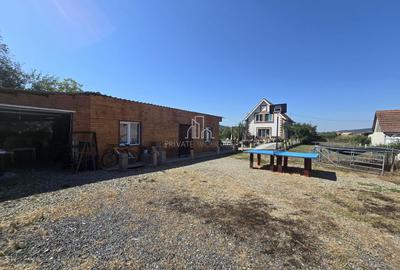 Casa cu piscina, 3450 Mp suprafata teren, Albesti, Mures - 22