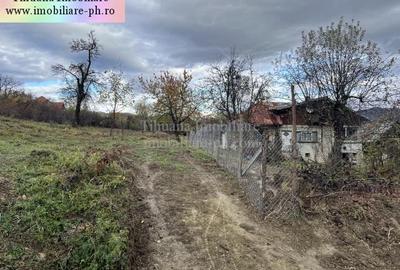 Teren de vanzare - Breaza - 5