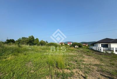 Teren intravilan 900 mp - Valea Rusului - 2