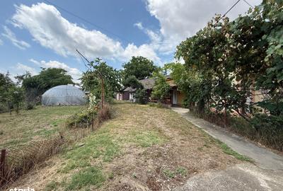 Casă cu 3 camere cu Teren 3753 Mp în Cornățelu - 1