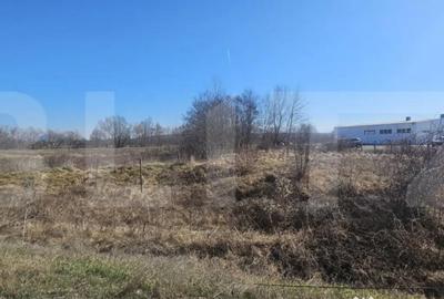 Teren de 3500 mp, în Sântuhalm - 5