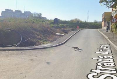 TEREN INTRAVILAN - 1980 MP- str.ANTENEI colt cu Libertatii TEREN INTRAVILAN - 1980 MP- str.ANTENEI colt cu Libertatii - 3