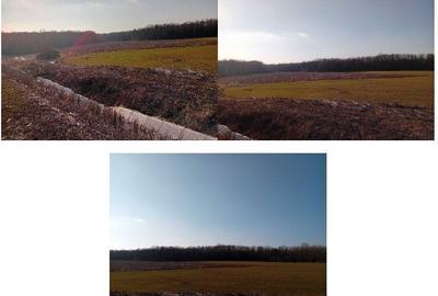 Teren de 5000 mp, în Lunca - 7