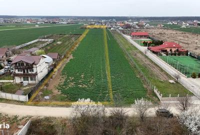 Spațiu comercial, în Dumbrăveni - 4