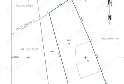 Casă cu Teren 3384 Mp în Bârsănești - 4