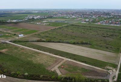 Spațiu comercial, în Moșnița Nouă - 9