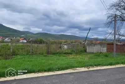 Teren intravilan, comuna Siria - 4