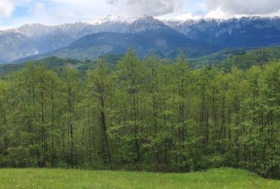 Oportunitate rara! Teren 7.283 mp, investitie garantata - 8