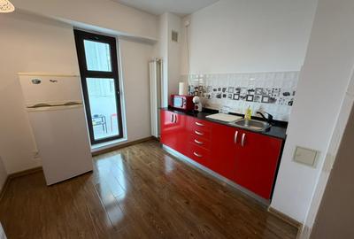 Garsonieră decomandată, mobilată în Calea Călărașilor - 18