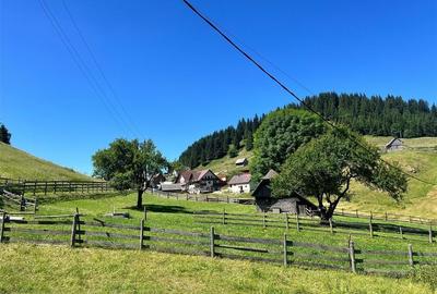 TEREN INTRAVILAN, 1380MP, FUNDATA - 4